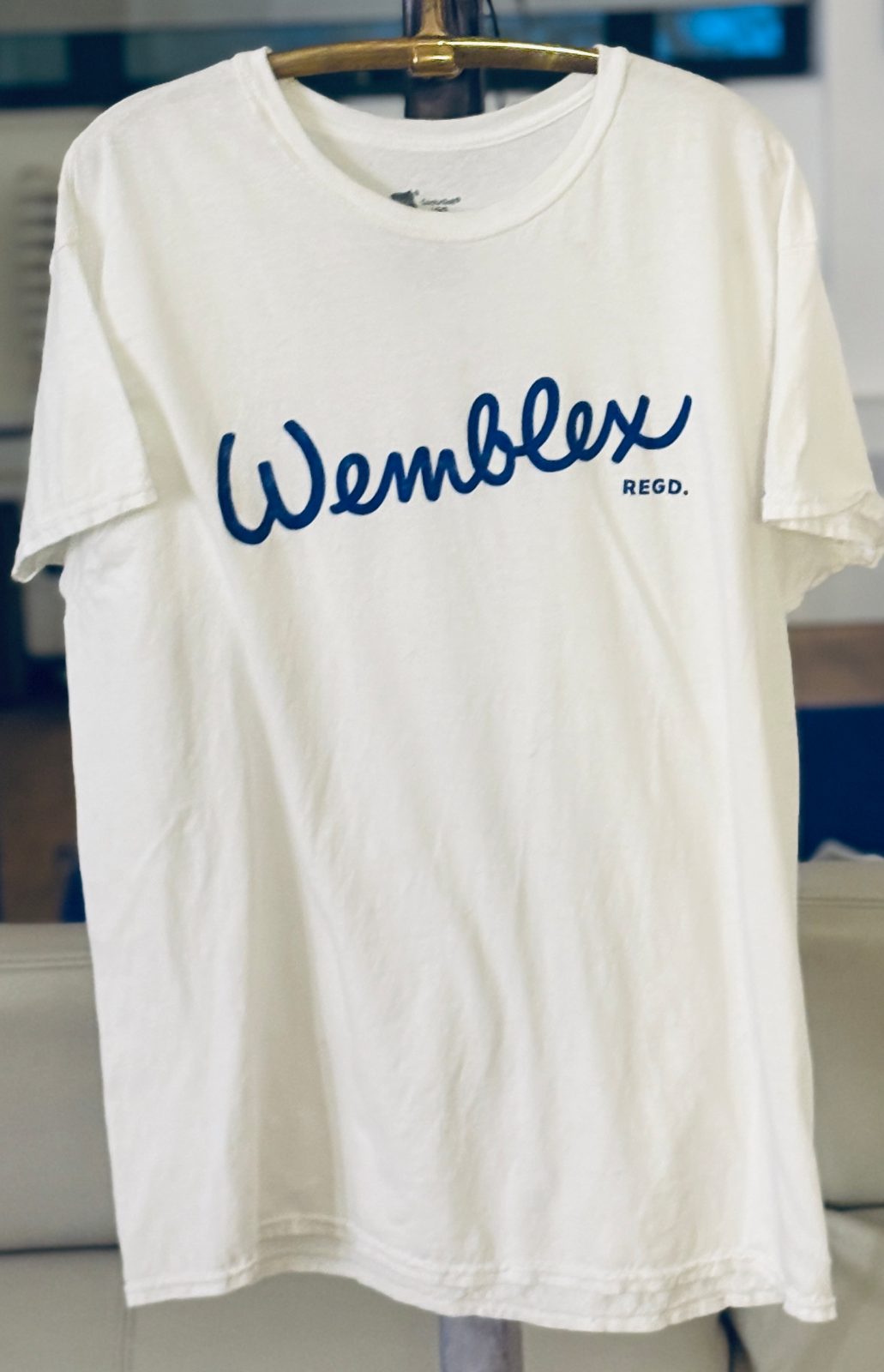 Blank pale green tee placeholder